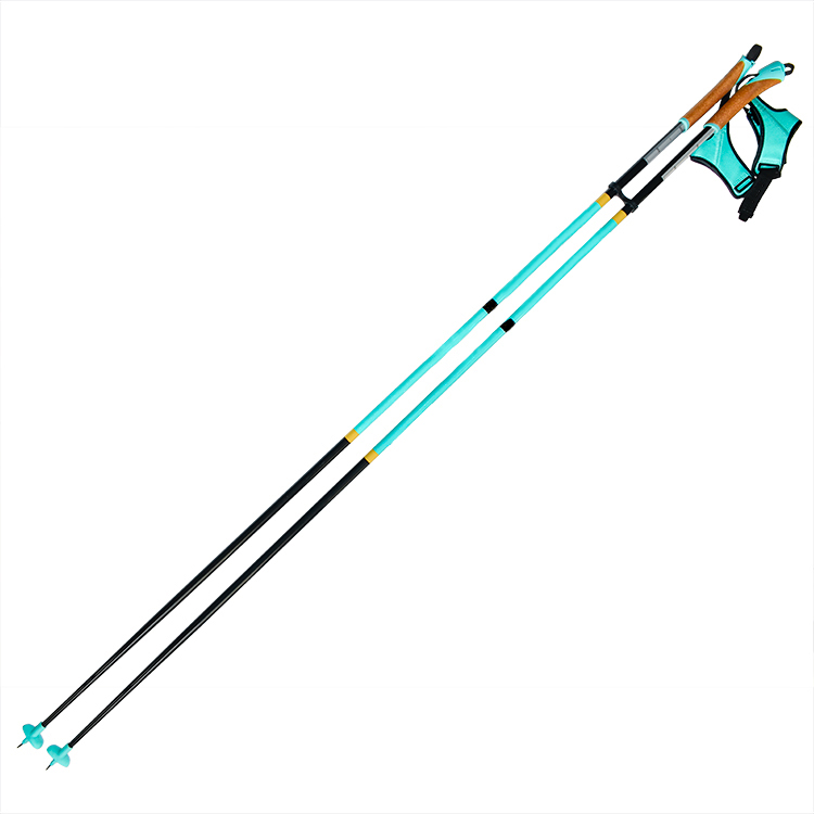 <strong>M-SPA-002 Ski Pole</strong>